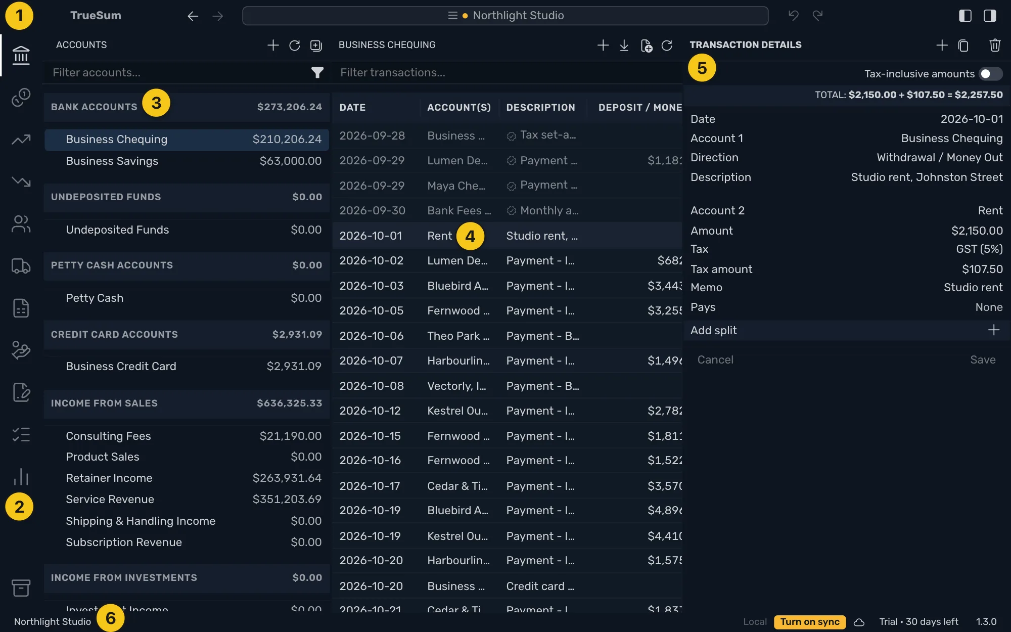 The TrueSum window: the title bar across the top, the activity bar down the left edge, the Accounts sidebar, the Business Chequing list in the middle, Transaction Details in the right sidebar, and the status bar along the bottom