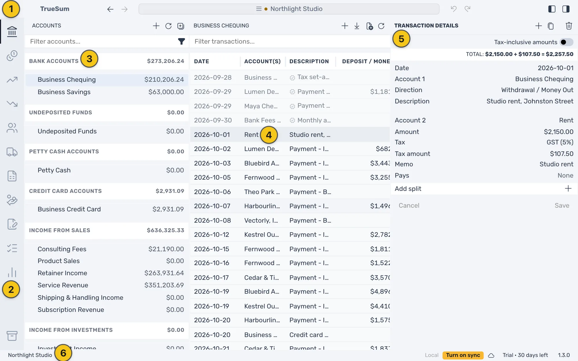 The TrueSum window: the title bar across the top, the activity bar down the left edge, the Accounts sidebar, the Business Chequing list in the middle, Transaction Details in the right sidebar, and the status bar along the bottom